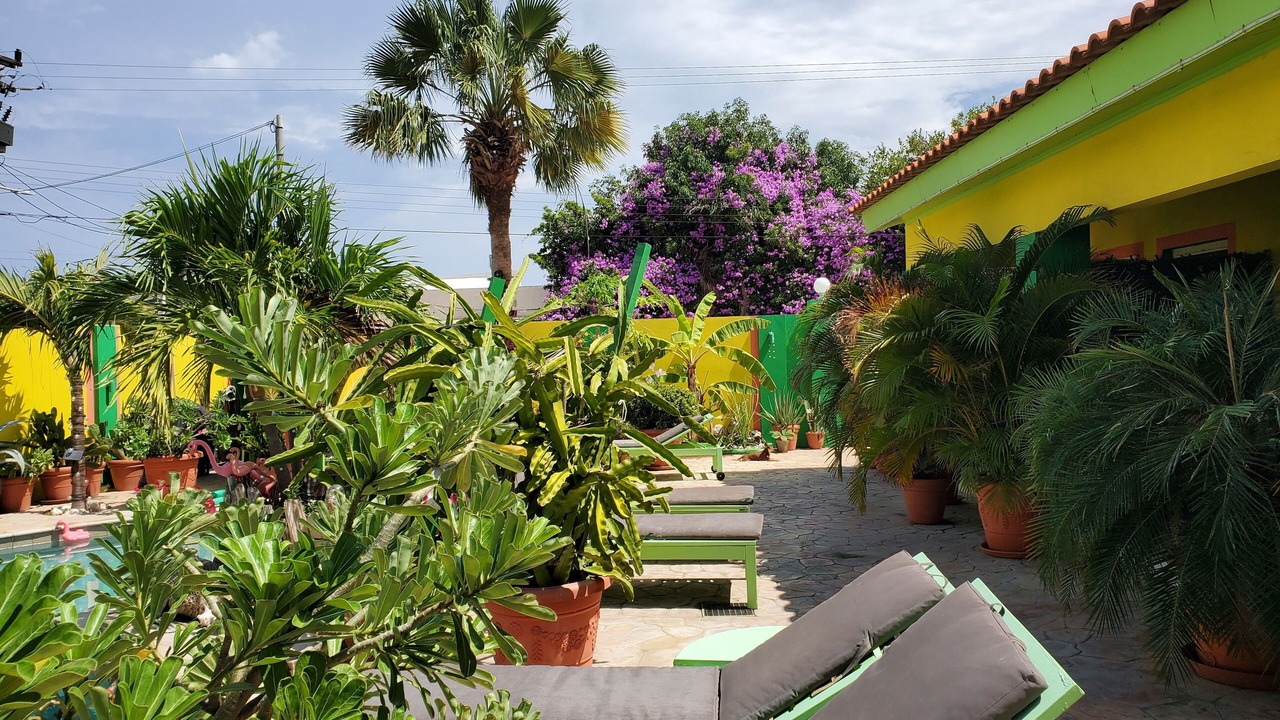 Photo of Patio Balcony in Punto de Oro