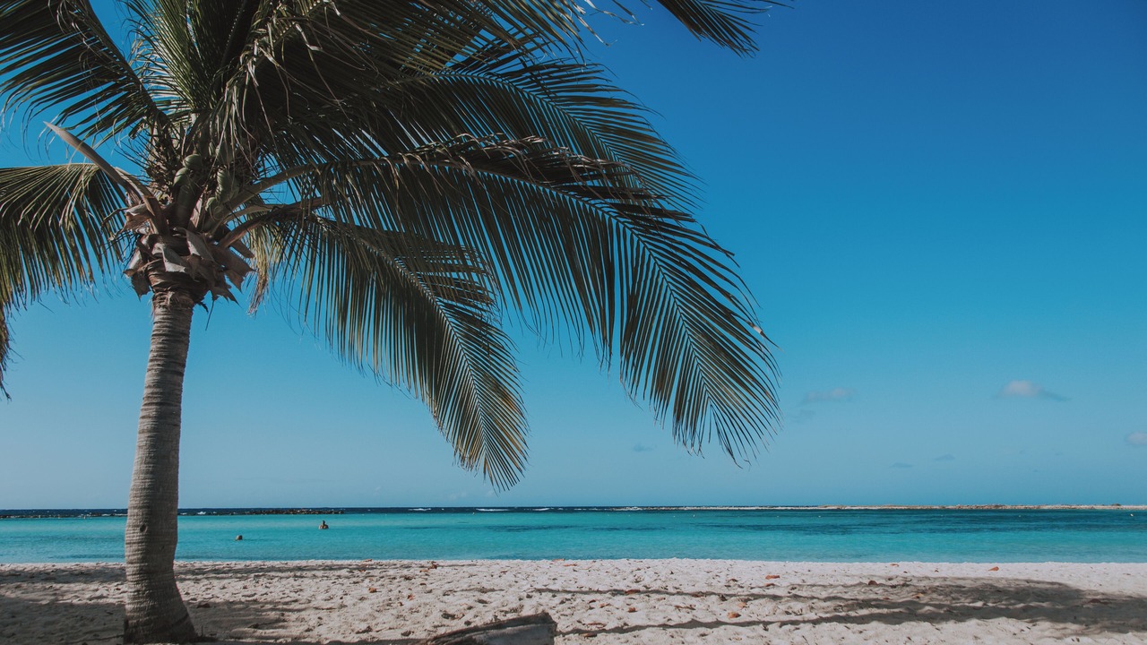 Photo of Others in Aruba
