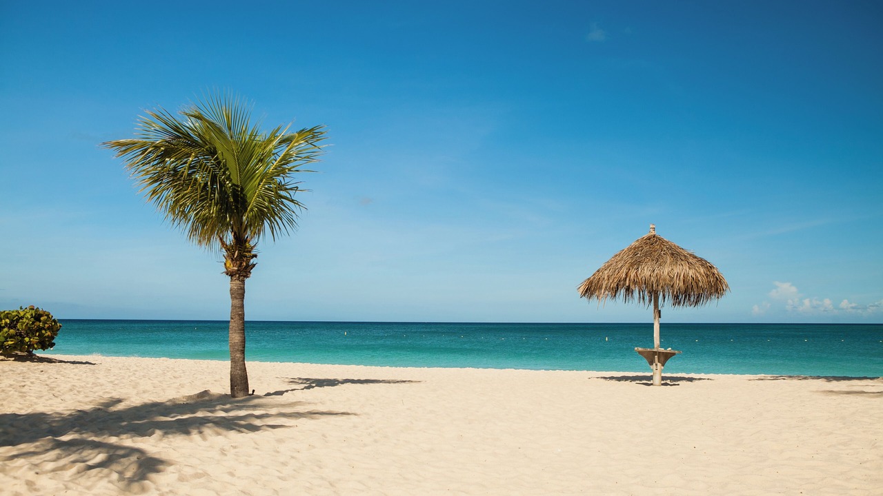 Photo of Others in Aruba