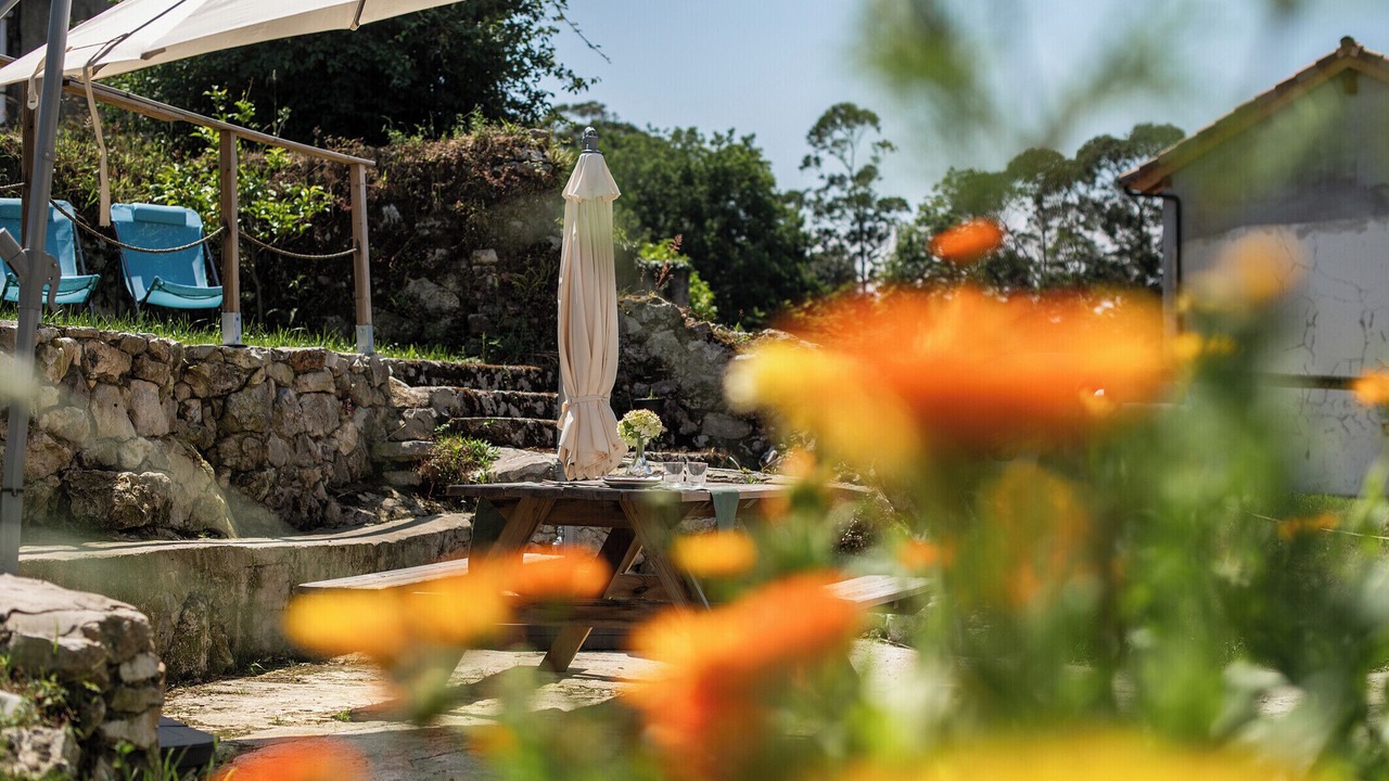 Photo of Outdoor in Bricia