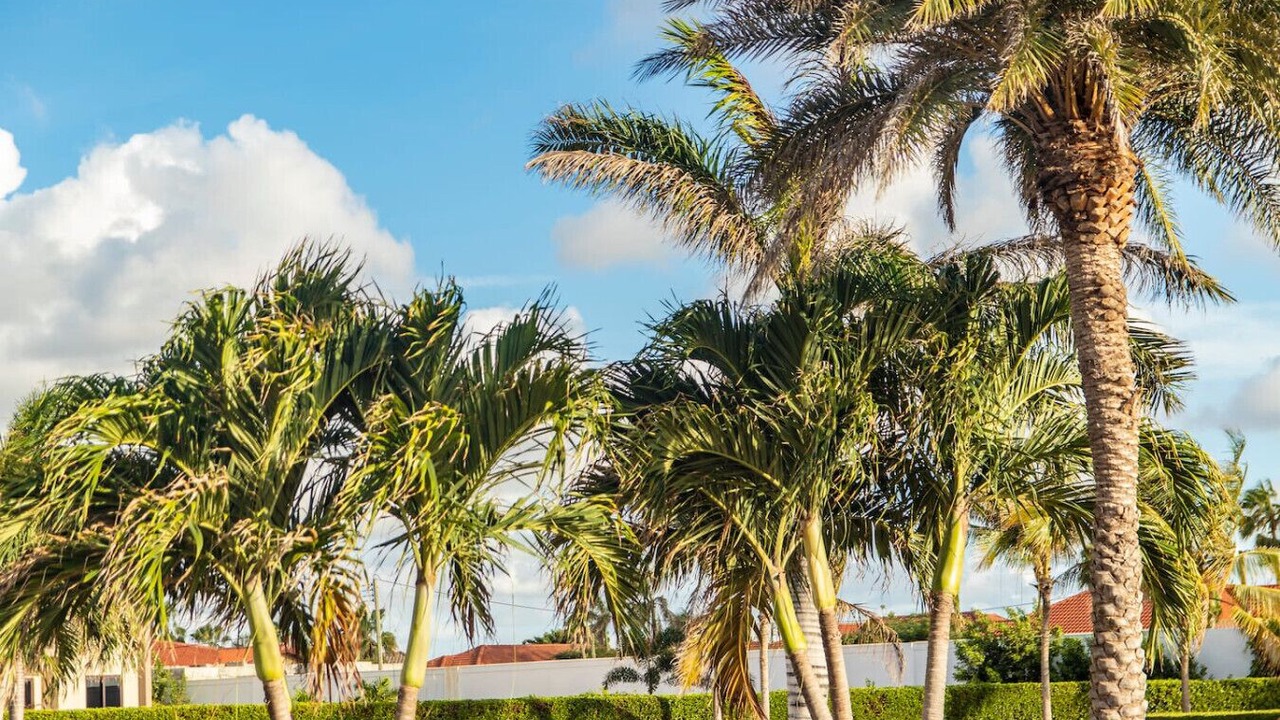 Photo of Outdoor in Gold Coast