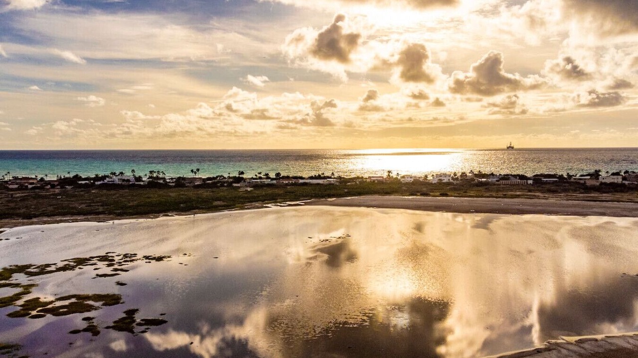 Photo of Others in Gold Coast