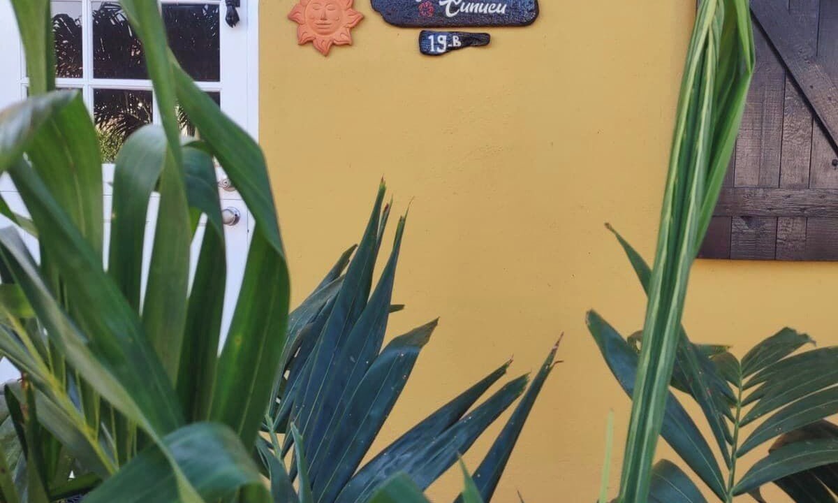 Photo of Outdoor in Savaneta