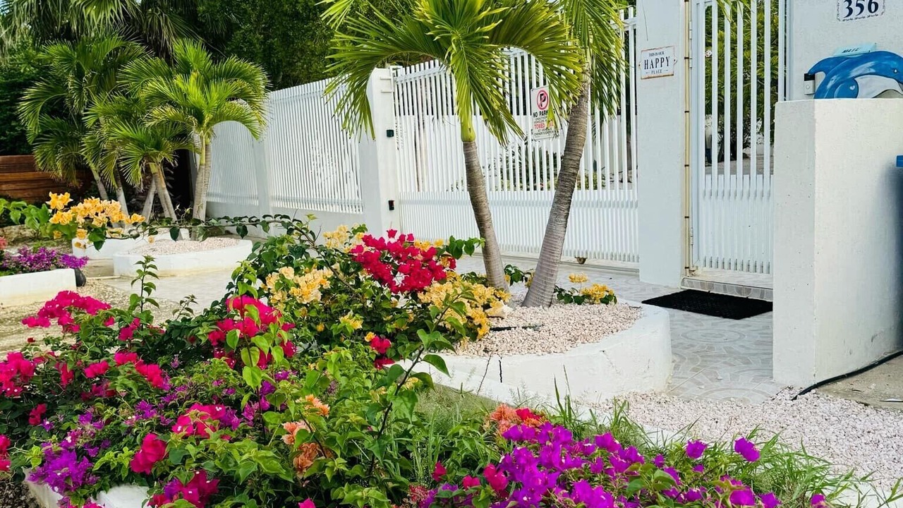 Photo of Outdoor in Savaneta