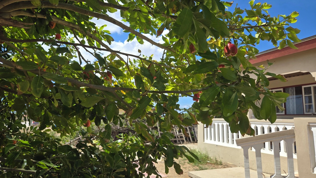 Photo of Outdoor in Punto de Oro