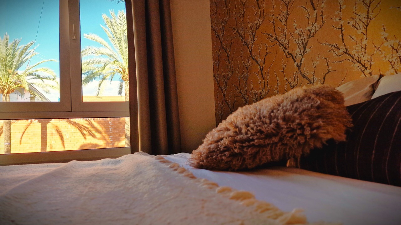 Photo of Bedroom in Gandia