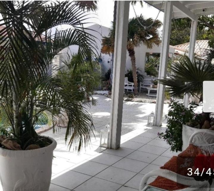 Photo of Patio Balcony in Ponton