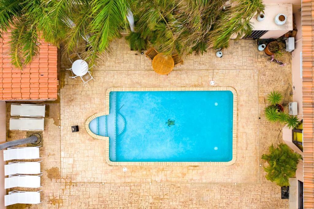 Photo of Others in Palm Beach