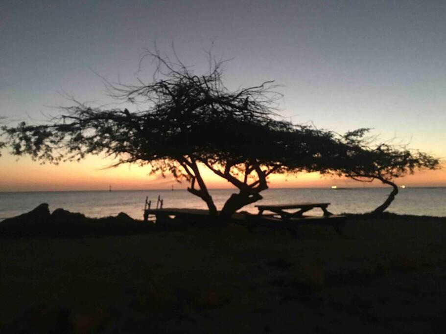 Photo of Outdoor in Savaneta
