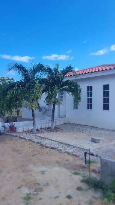 Photo of Buildings in Santa Cruz