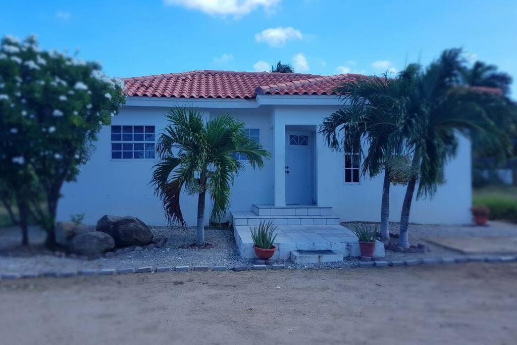 Photo of Buildings in Santa Cruz