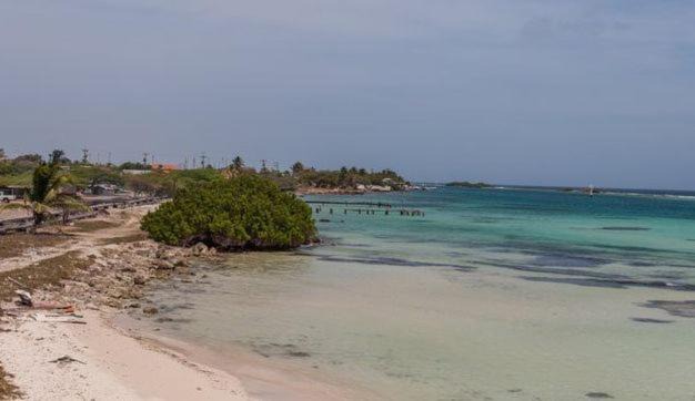 Photo of Outdoor in Savaneta