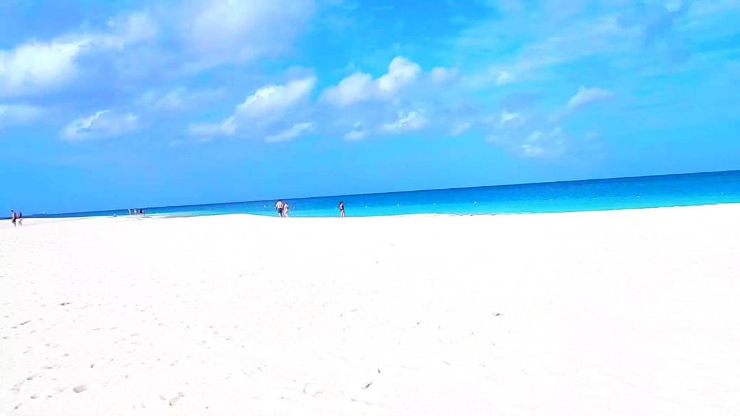 Photo of Outdoor in Palm Beach