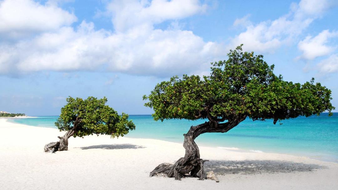 Photo of Outdoor in Palm Beach