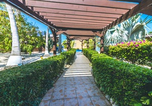 Aruba Blue Village Hotel and Apartments