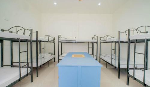 Bunk Bed in Female Dormitory Room  