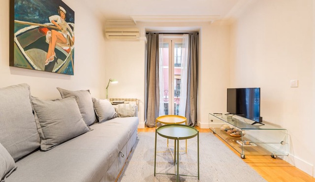 BIG Apartment Downtown Madrid Malasaña M (MAL27)