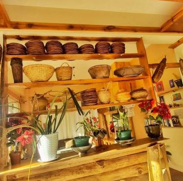 Best Bed and Breakfast with Sunrise & Mountain View!